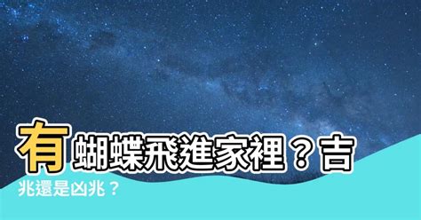 蝴蝶飛進 家裡幾號|今日蝴蝶入宅，風水大師解析吉凶